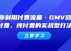 教你利用付费流量·GMV放大,微付费、纯付费的实战型打法