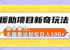 援助项目新奇玩法,简单暴力,无脑搬运轻松日入500+【日入500很简单】