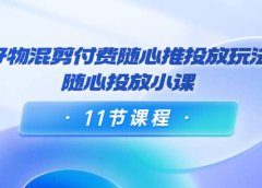 好物混剪付费随心推投放玩法,随心投放小课(11节课程)