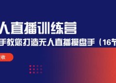 无人直播训练营：手把手教您打造无人直播操盘手（16节课时）