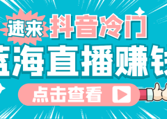 最新抖音冷门简单的蓝海直播赚钱玩法,流量大知道的人少,可做到全无人直播