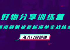 好物分享训练营：短视频带货最新爆单实战核心，从入门到精通