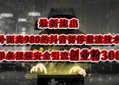 最新流出:外面卖980的抖音暂停截流技术单条视频安全引流创业粉300+