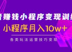 抖音小程序变现训练营：小程序各类玩法运营技巧变现