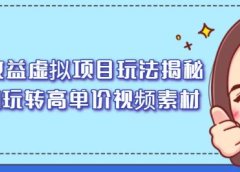 高收益虚拟项目玩法揭秘,从0玩转高单价视频素材【视频课程】