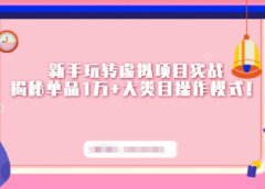 新手玩转虚拟项目实战,揭秘单品1万+大类目操作模式【视频课程】