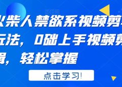 火柴人系视频剪辑玩法,0础上手视频剪辑,轻松掌握
