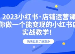 2023小红书·店铺运营课,教你做一个能变现的小红书店铺,20节-实战教学