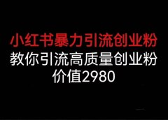 小红书暴力引流创业粉,教你引流高质量创业粉,价值2980