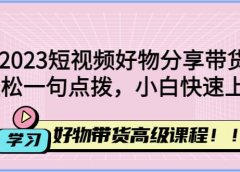 2023短视频好物分享带货,好物带货高级课程,轻松一句点拨,小白快速上手
