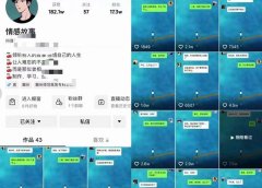 情感故事对话号教学,手机操作,吸粉能力超强的起号思路,值得学习