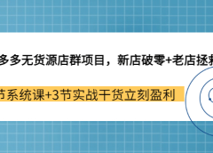 拼多多无货源店群项目,新店破零+老店拯救 12节系统课+3节实战干货立刻盈利