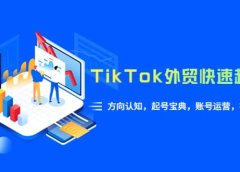 TikTok/外贸·快速起号课，方向认知，起号宝典，账号运营，视频拍摄(33节)