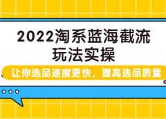 2022淘系蓝海截流玩法实操:让你选品速度更快,提高选品质量(价值599)