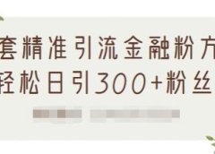 1套精准引流金融粉方法，轻松日引300+粉丝【视频课程】