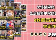 火爆抖音的搞笑盘点中视频项目 （附全套素材包+工具礼包）