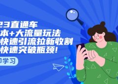 2023直通小成本+大流量玩法,低价快速引流拉新收割,让你快速突破瓶颈