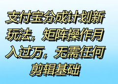 支付宝分成计划新玩法,矩阵操作月入过万,无需任何剪辑基础