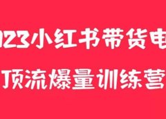 小红书电商爆量训练营,月入3W+!可复制的独家养生花茶系列玩法