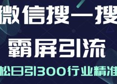 微信搜一搜霸屏引流课,打造被动精准引流系统,轻松日引300行业精准粉【无水印】