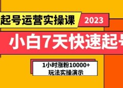 小白7天快速起号：dou+起号运营实操课，实战1小时涨粉10000+玩法演示
