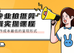 专业拍摄剪辑实操课程:制作成本最低的呈现形式