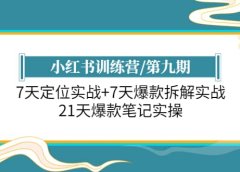 小红书训练营/第九期:7天定位实战+7天爆款拆解实战,21天爆款笔记实操