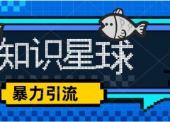 价值1980,知识星球课程,流量堆积器,冷门暴力引流项目,全网最新玩法