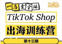 TikTokShop出海训练营(第十三期),打开全球流量新思维,出海抢占全球新流量,一店卖全球