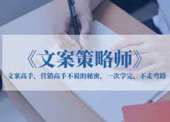 《文案策略师》文案高手,营销高手不说的秘密,一次学完,不走弯路