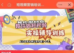 蕊总很忙·短视频营销培训实操课教你快速入门，教你做抖音短视频