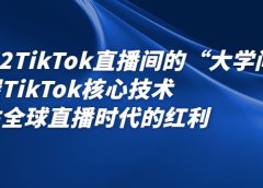 2022TikTok直播间的“大学问”，掌握TikTok核心技术，抓住全球直播时代的红利