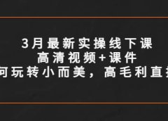 3月最新实操线下课高清视频+课件，如何玩转小而美，高毛利直播间