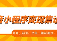 抖音小程序变现集训课,养号、起号、书单、趣味测试、视频剪辑,全套流程