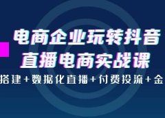 电商企业玩转抖音直播电商实战课:账号搭建+数据化直播+付费投流+金牌主播