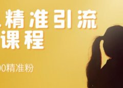 soul精准引流系列课程,每天引流100精准粉