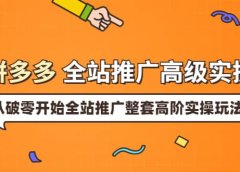 拼多多全站推广高级实操:从破零开始全站推广整套高阶实操玩法