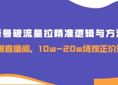 新号破流量拉精准逻辑与方法，引爆直播间，10w-20w场观正价玩法