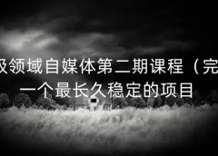 无极领域自媒体第二期课程(完结),一个最长久稳定的项目