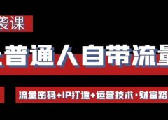 让普通人自带流量的逆袭课:流量密码+IP打造+运营技术·财富路径