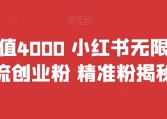 首发价值4000 小红书无限艾特暴力引流创业粉 精准粉揭秘教程