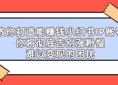 教你打造能赚钱小红书IP账号,了解透彻小红书的真正玩法