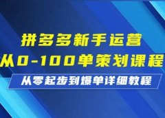 拼多多新手运营从0-100单策划课程,从零起步到爆单详细教程