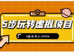 新手小白只需5步,即可玩转虚拟项目,0成本月入10000+【视频课程】