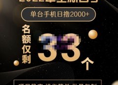 2022年全新口子,手机批量搬砖玩法,一部手机日撸2000+