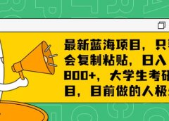 最新蓝海项目,只要会复制粘贴,日入800+,大学生考研项目,目前做的人极少