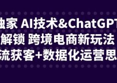 独家 AI技术ChatGPT解锁 跨境电商新玩法，引流获客+数据化运营思维