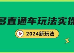 多多直通车玩法实战课,2024新玩法(7节课)