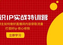 知识IP实战特训营：知识博主如何做好直播间内容获取流量 打造好ip 收心收钱