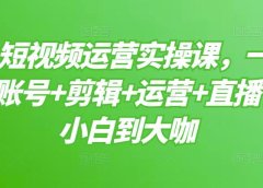 短视频运营实操课,一部手机,账号+剪辑+运营+直播,从小白到大咖